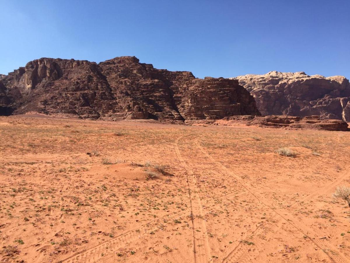 Wadi Rum Bedouin Experience Exteriör bild