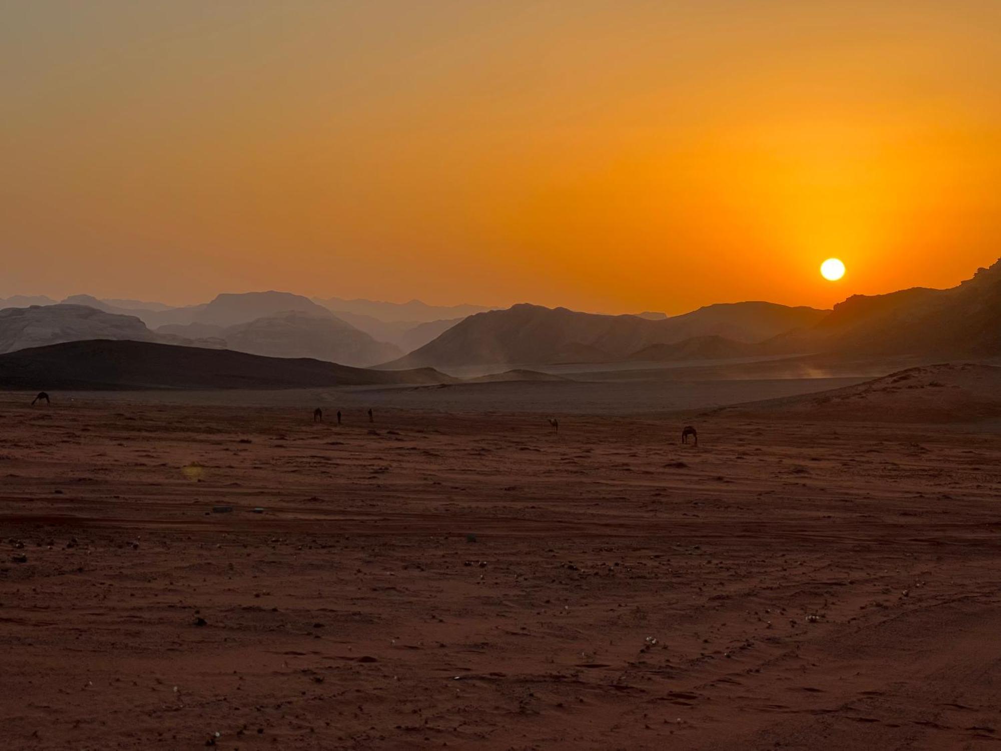 Wadi Rum Bedouin Experience Exteriör bild