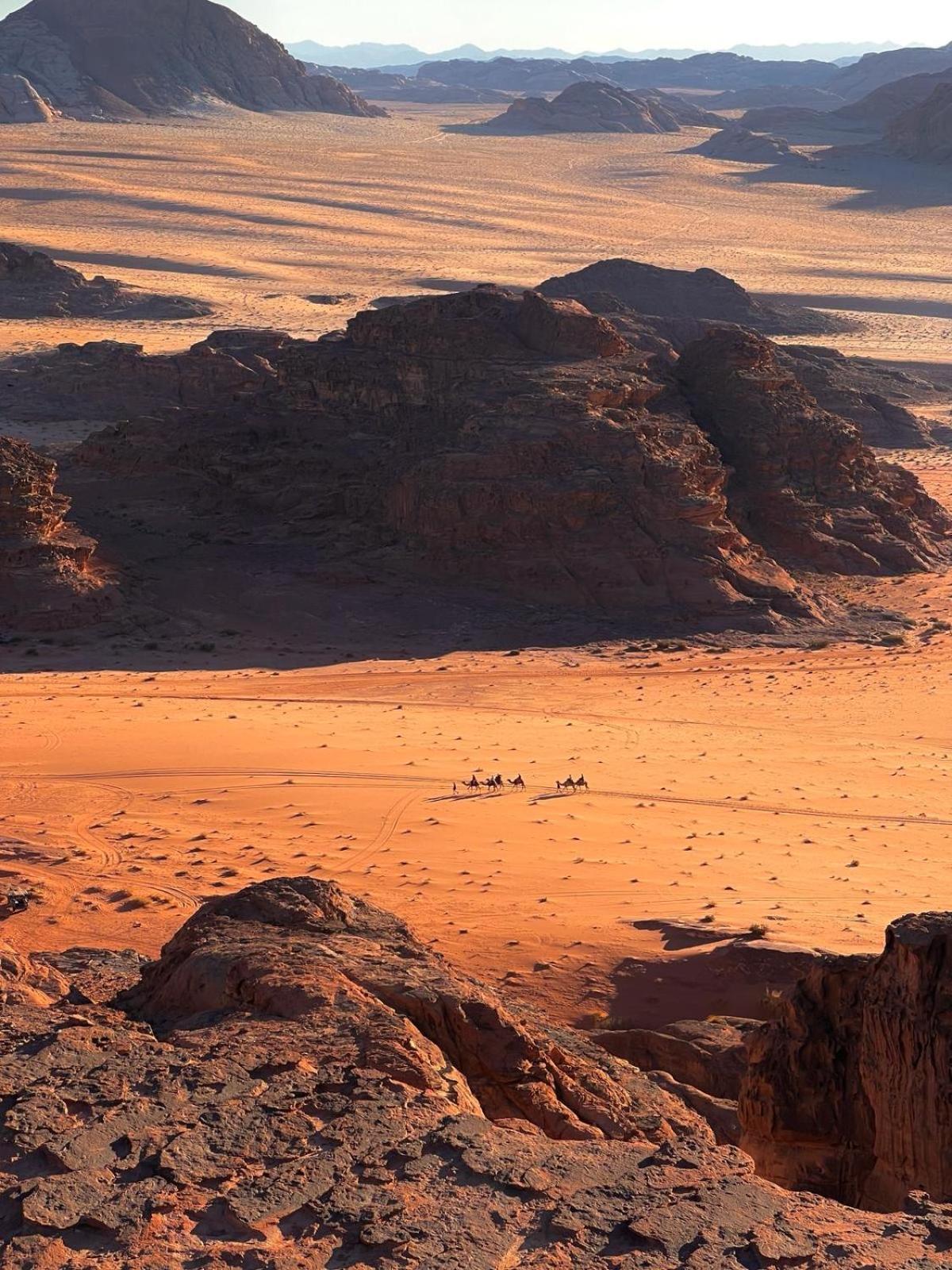 Wadi Rum Bedouin Experience Exteriör bild