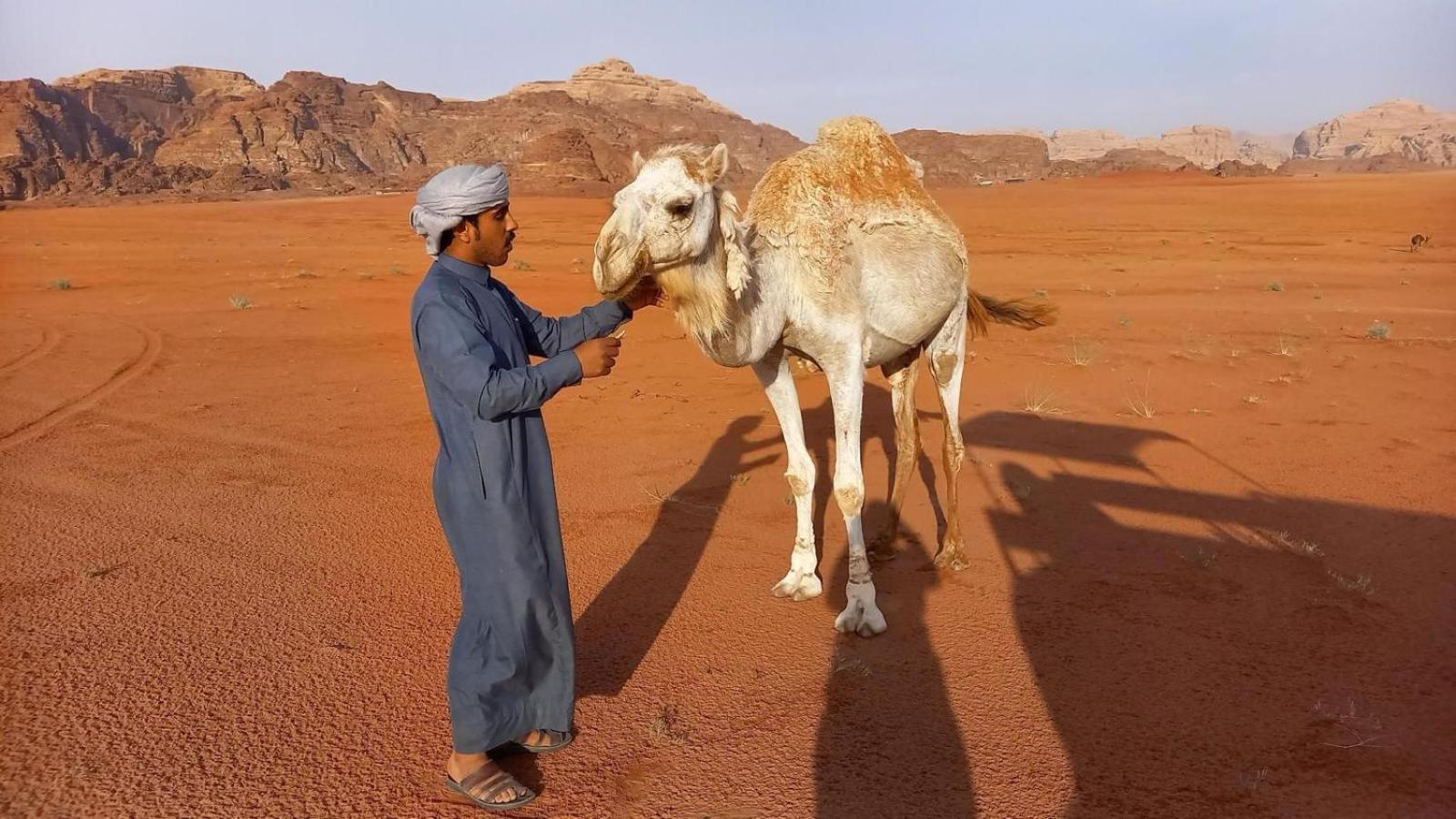 Wadi Rum Bedouin Experience Exteriör bild